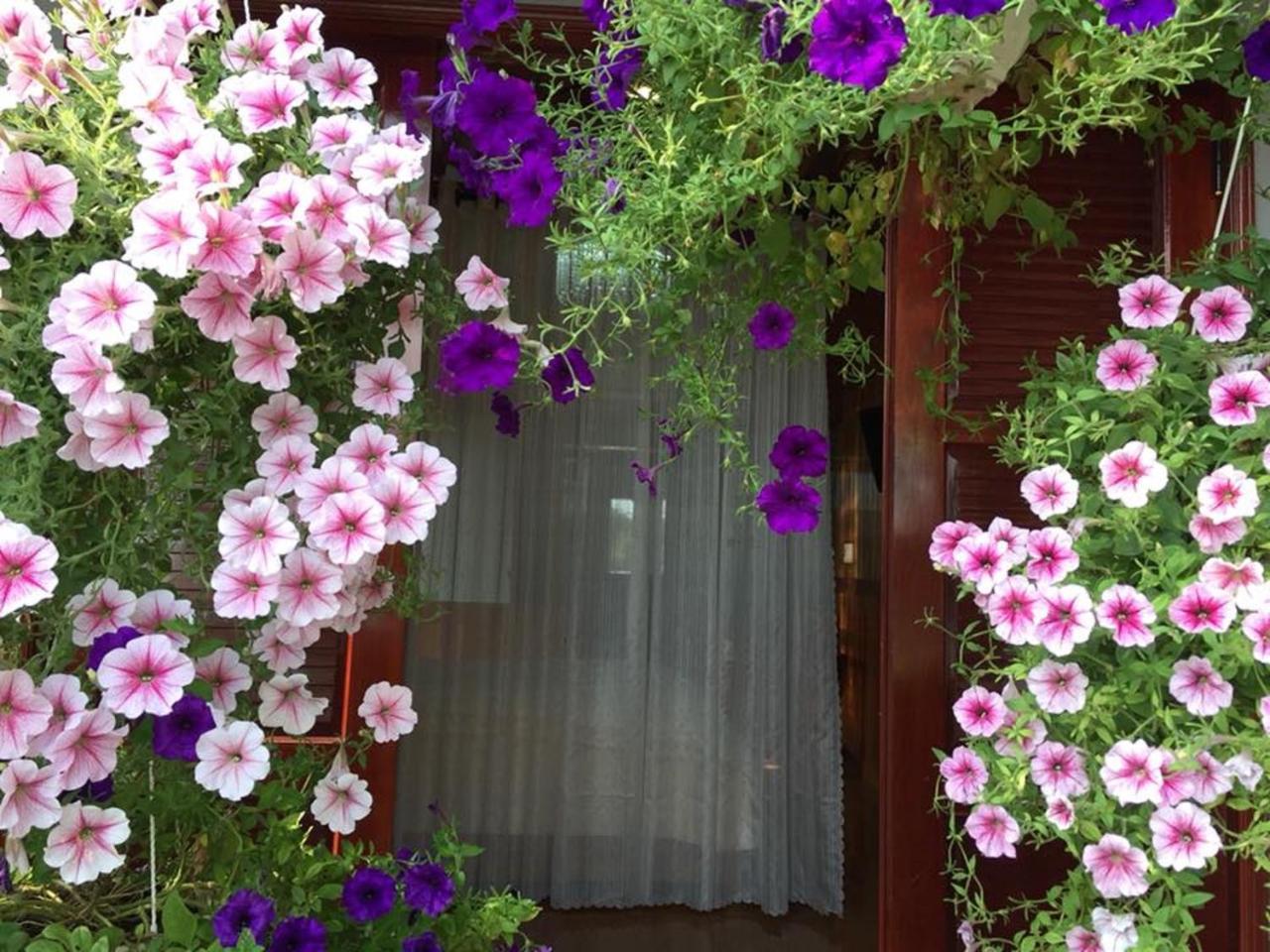 Khamy Riverside Villa Χόι Αν Εξωτερικό φωτογραφία